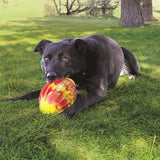 KONG Flexball Sport Football Medium