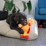 KONG Knots Chicken