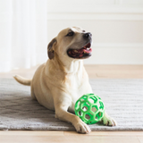 JW® HOL-EE ROLLER® X-LARGE DOG TOY