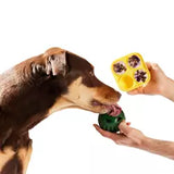 Woof Pupsicle Treat Tray