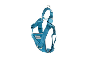 RC Tempo No Pull Harness Teal