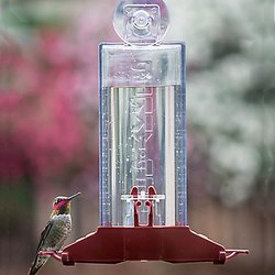 Perky-Pet® Window Mount Plastic Hummingbird Feeder