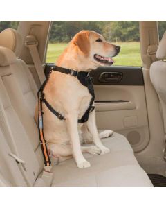 Kurgo Direct to Seatbelt Tether Black Orange Dog