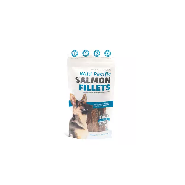 Snack 21 Salmon Jumbo Fillets for Dogs, 65g bag – Birds n Paws