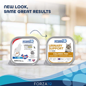 FORZA10 NUTRACEUTIC ACTIWET URINARY SUPPORT ICELANDIC FISH RECIPE WET CAT FOOD