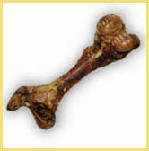 Giant Femur Bone