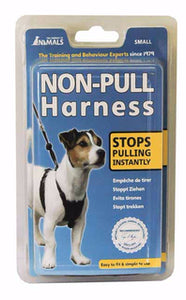 Company Of Animals© Halti® Non-Pull Harness