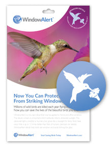 Window Alert Hummingbirds