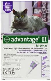 Advantage II Large Cat over 4KG